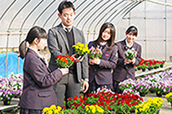 「黎明ブランド」の創出